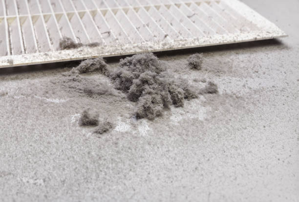 Best Commercial Air Duct Cleaning  in Pleasant Hill, MO